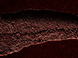 Шоколад чорний OQO 73% Valrhona 3 кг 40981 фото 2