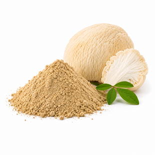 Екстракт Їжовика гребінчастого (Hericium erinaceus) 100 г 4012 фото