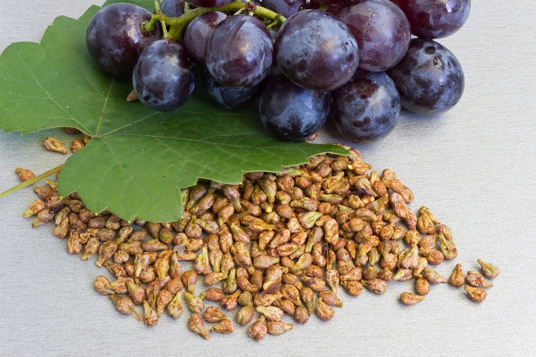 Grapes and grape seeds on the table