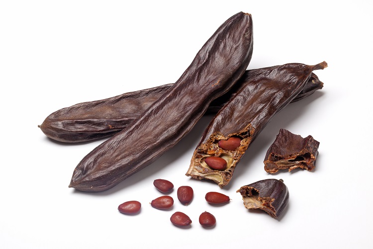 Alt choc 4