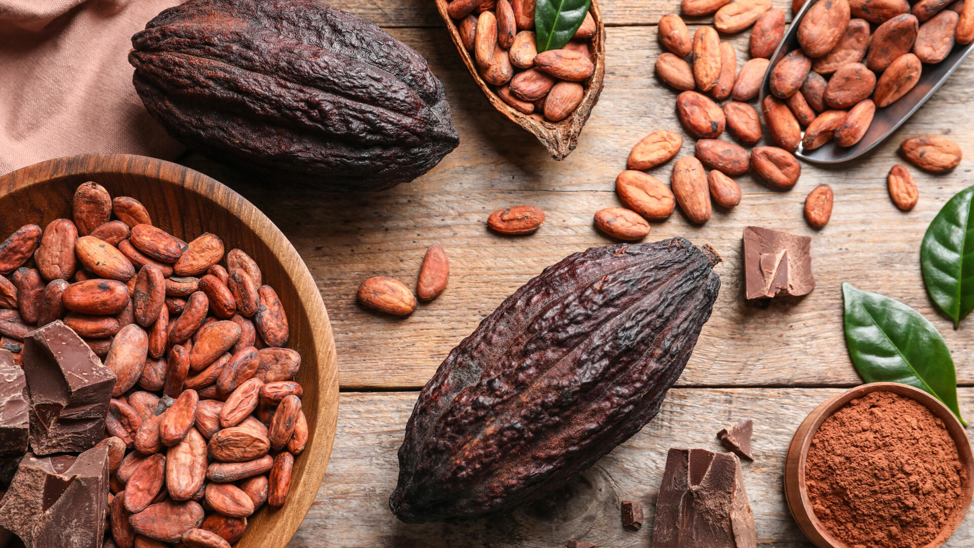 cacao l excellence togolaise i1920